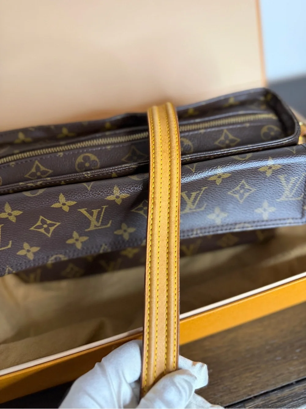 Louis Vuitton Viva Cité in monogram